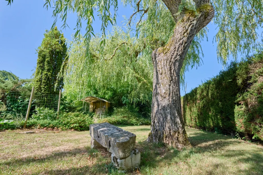 Jardin, arboré