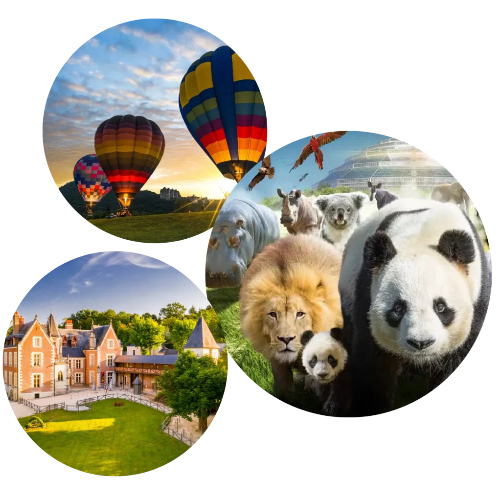 Bulle avec des photos des activités proche de Saint-Aignan